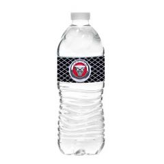 16 oz Bottled Water - Wave